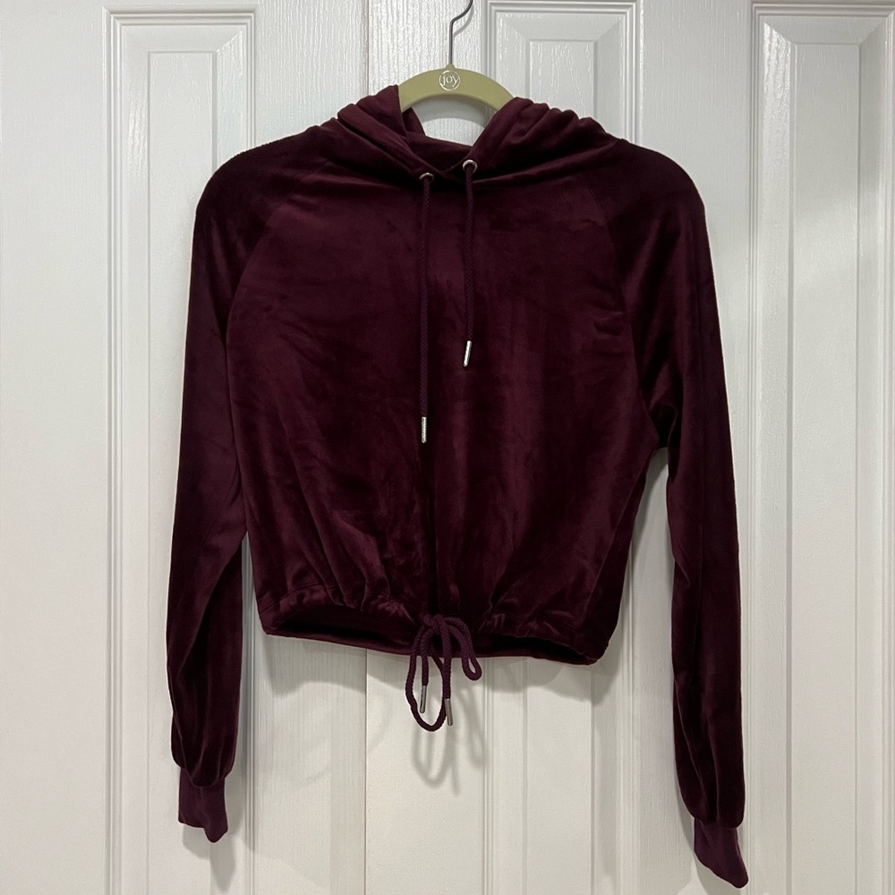 Purple velour sweatshirt